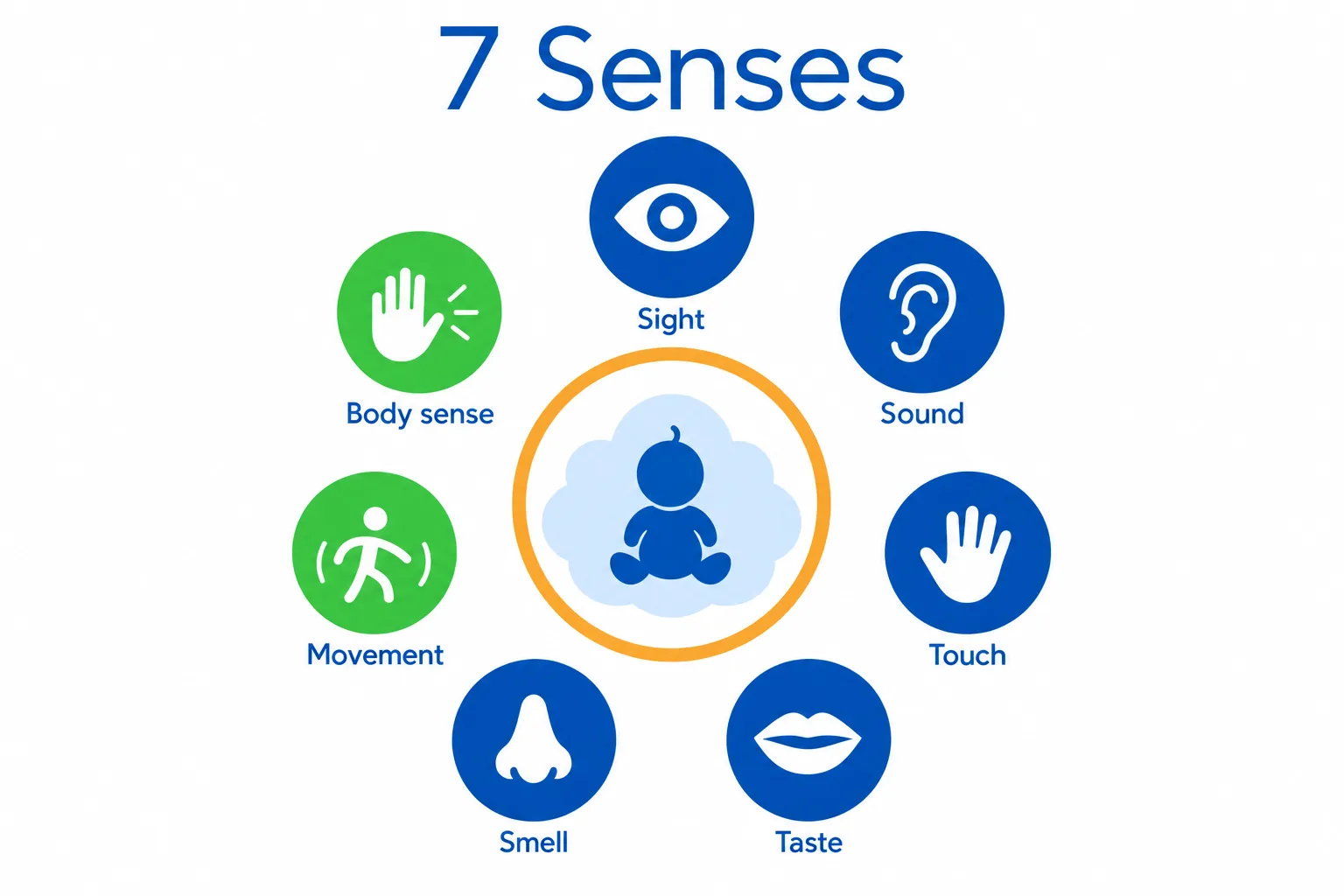 Diagram of the seven senses used in infant sensory play: sight, sound, touch, taste, smell, plus movement and body awareness highlighted as the two most often skipped